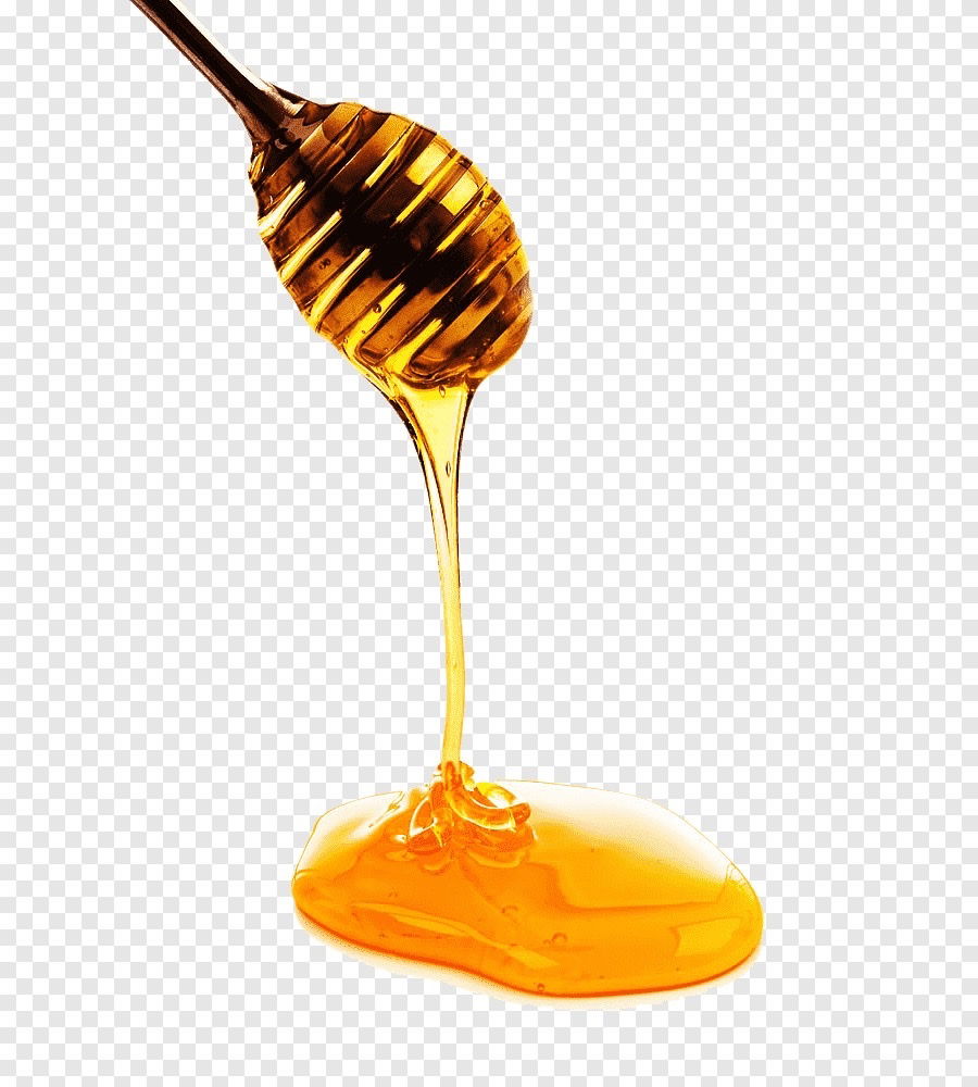 HoneyPot photo