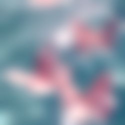 jaiโ๏ฝกยฐโฉ photo