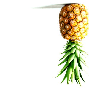 Thomas & Quinn photo