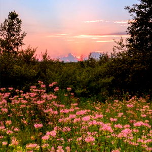 PrincessAthalia photo