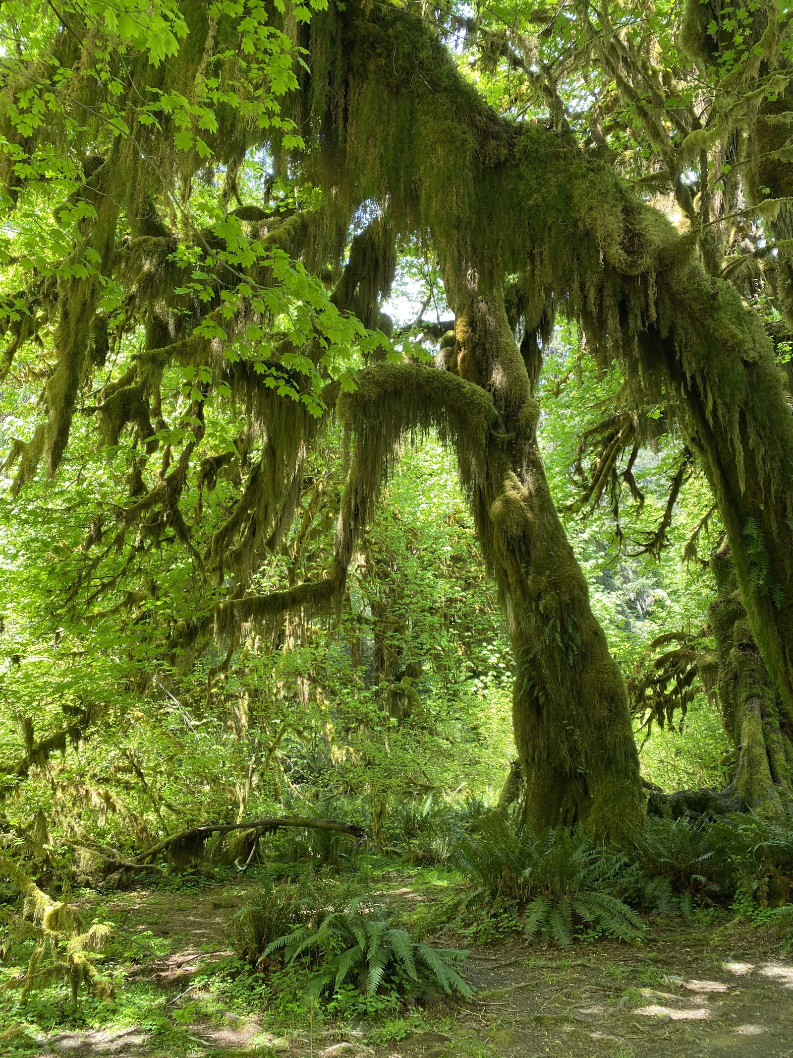 Ashlee Ethridge photo