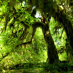 Ashlee Ethridge photo