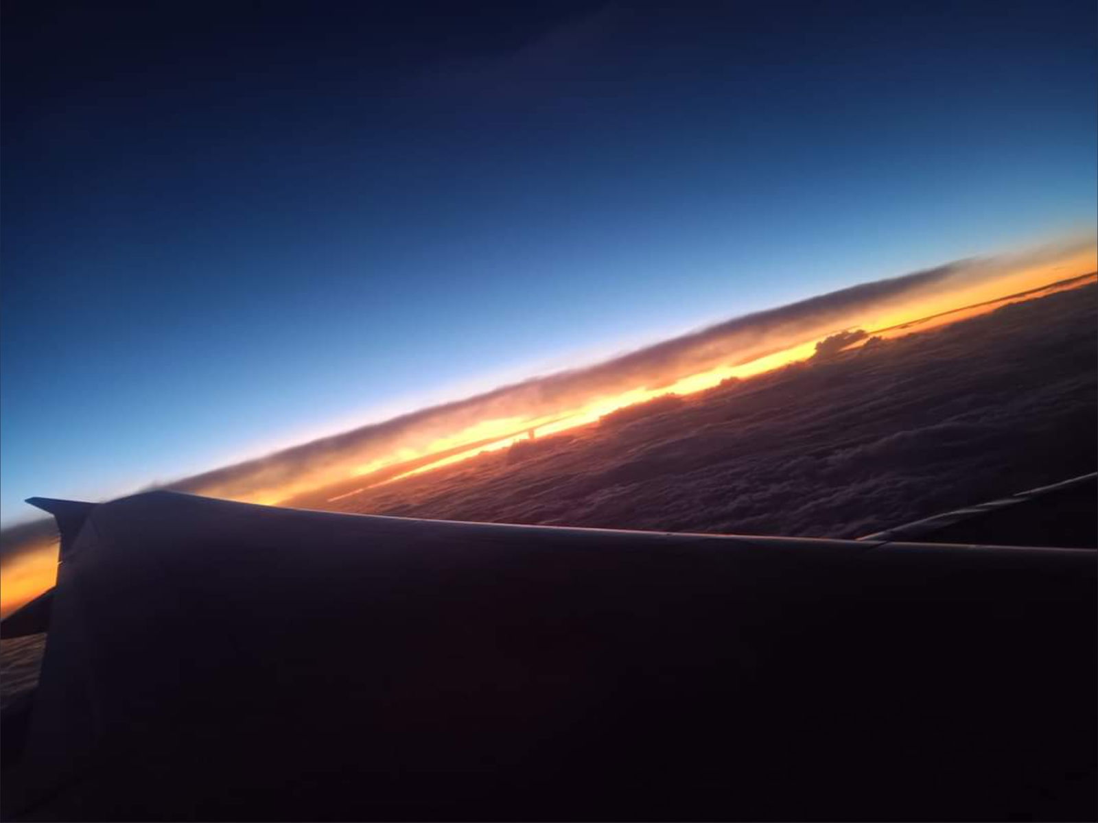 Dragon Princess photo