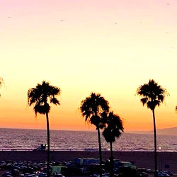 Spectacular Beach Sunset View