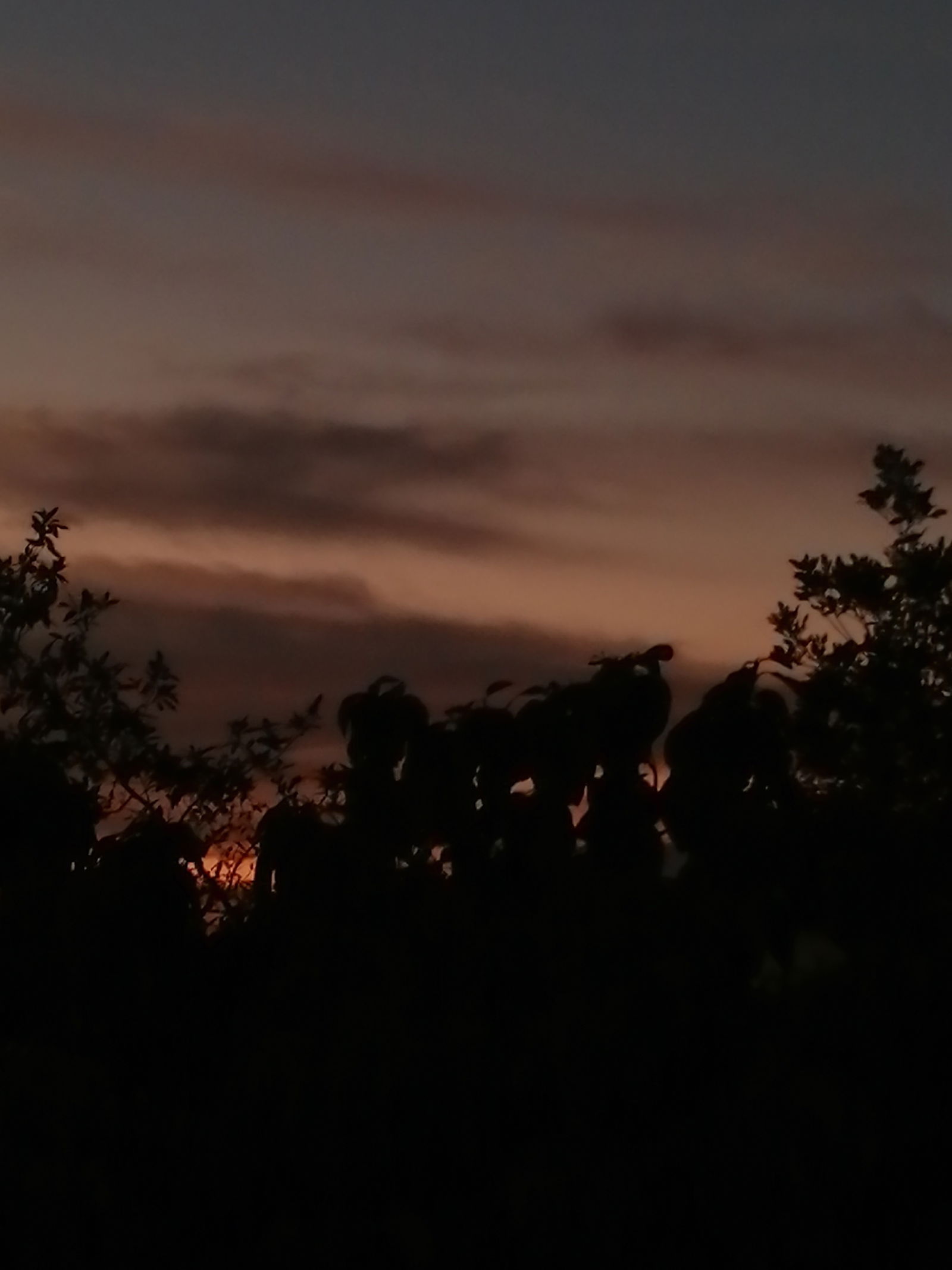 Andy ASS 🍑✨️ photo