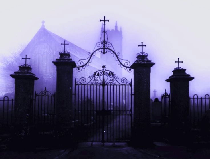 𝙱𝚞𝚋𝚒 photo