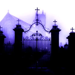 ๐ฑ๐๐๐ photo