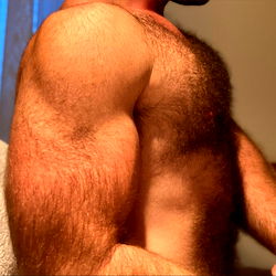 approaching bear status photo