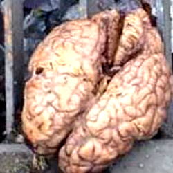 โ ๐ฒ๐๐๐ ๐๐๐๐๐ ๐ค photo