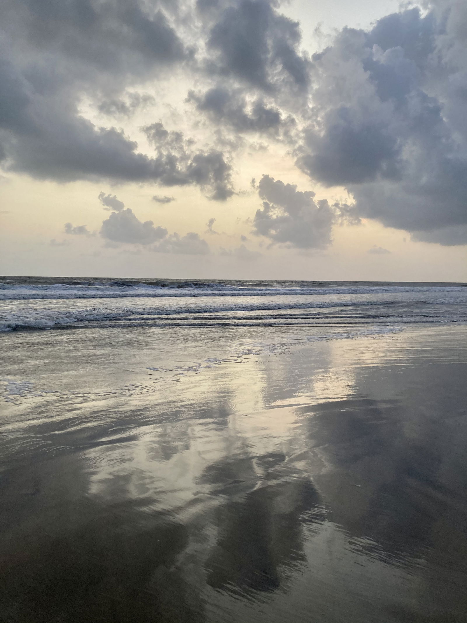 Petals like silk photo