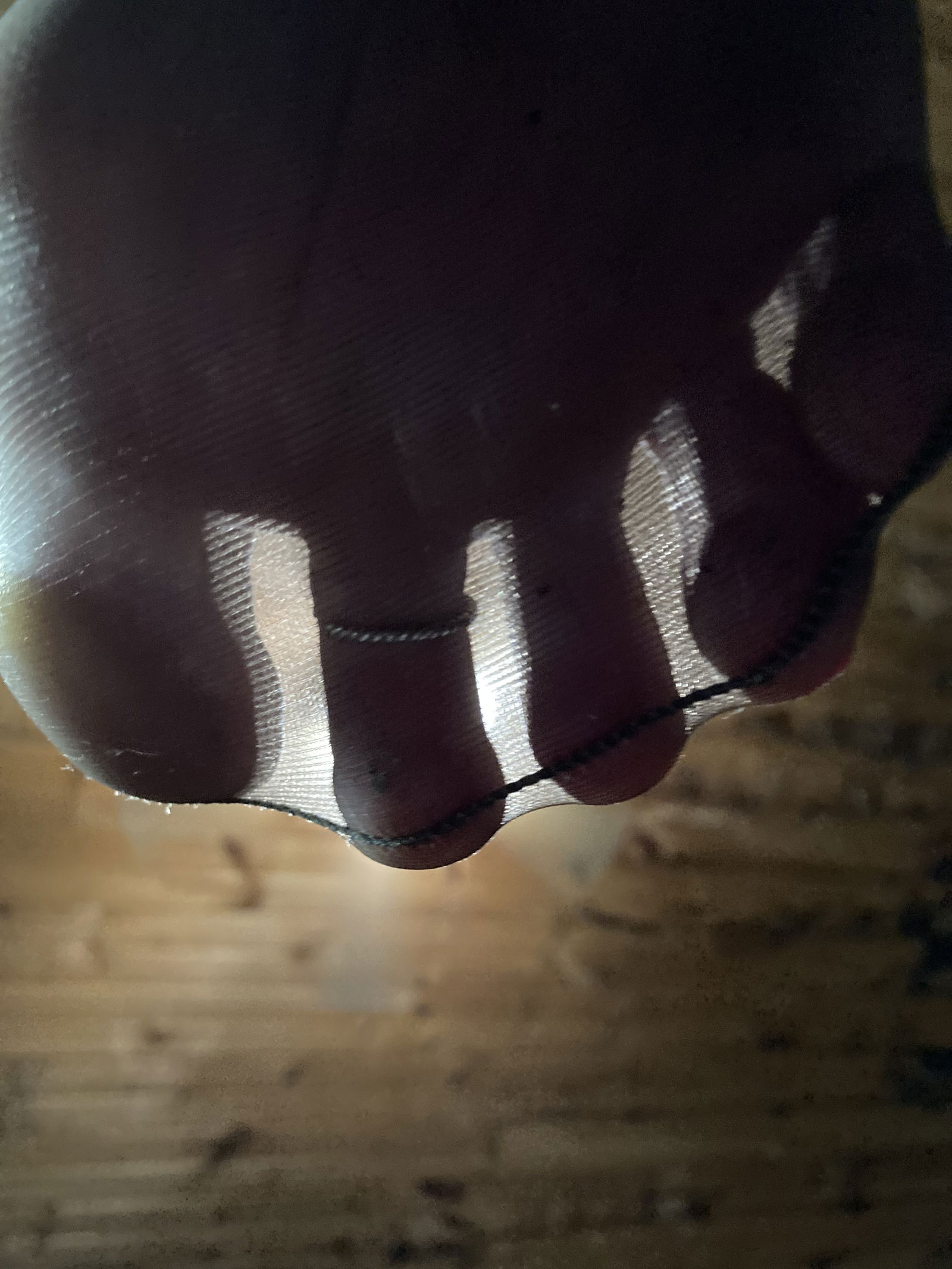 Platinum Pantyhose photo