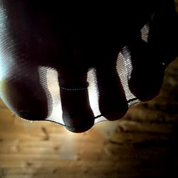 Platinum Pantyhose photo