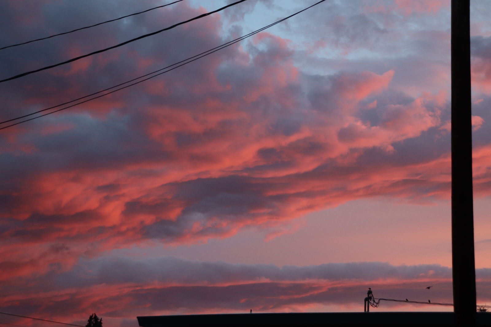 Princess Peach photo