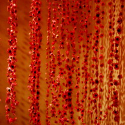 Stacked Mrs Katz VIP photo