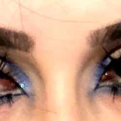 bear ๐งธ photo