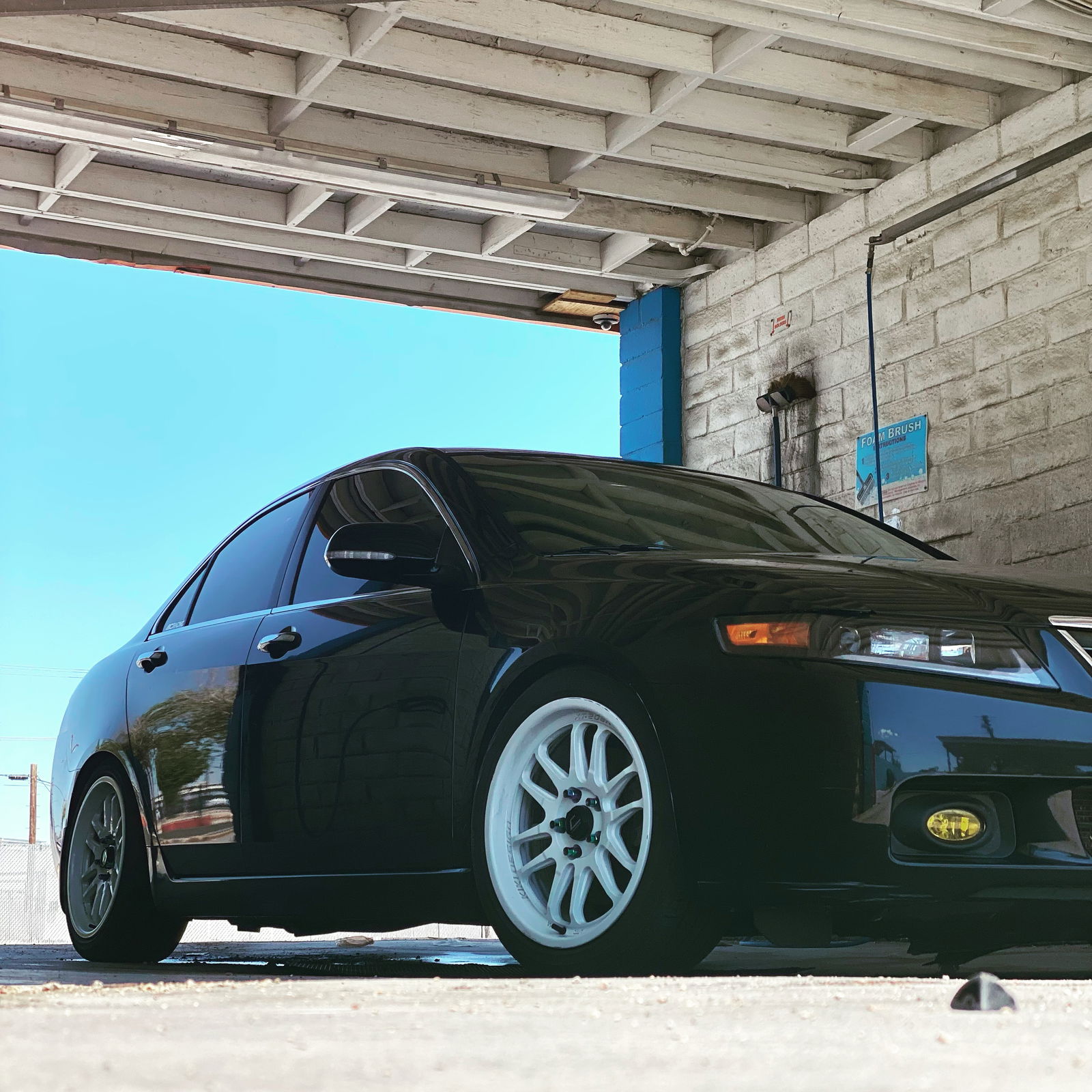 Rochelle Rodriguez photo