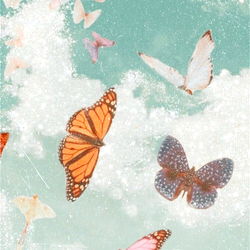 Vintage Butterfly Print