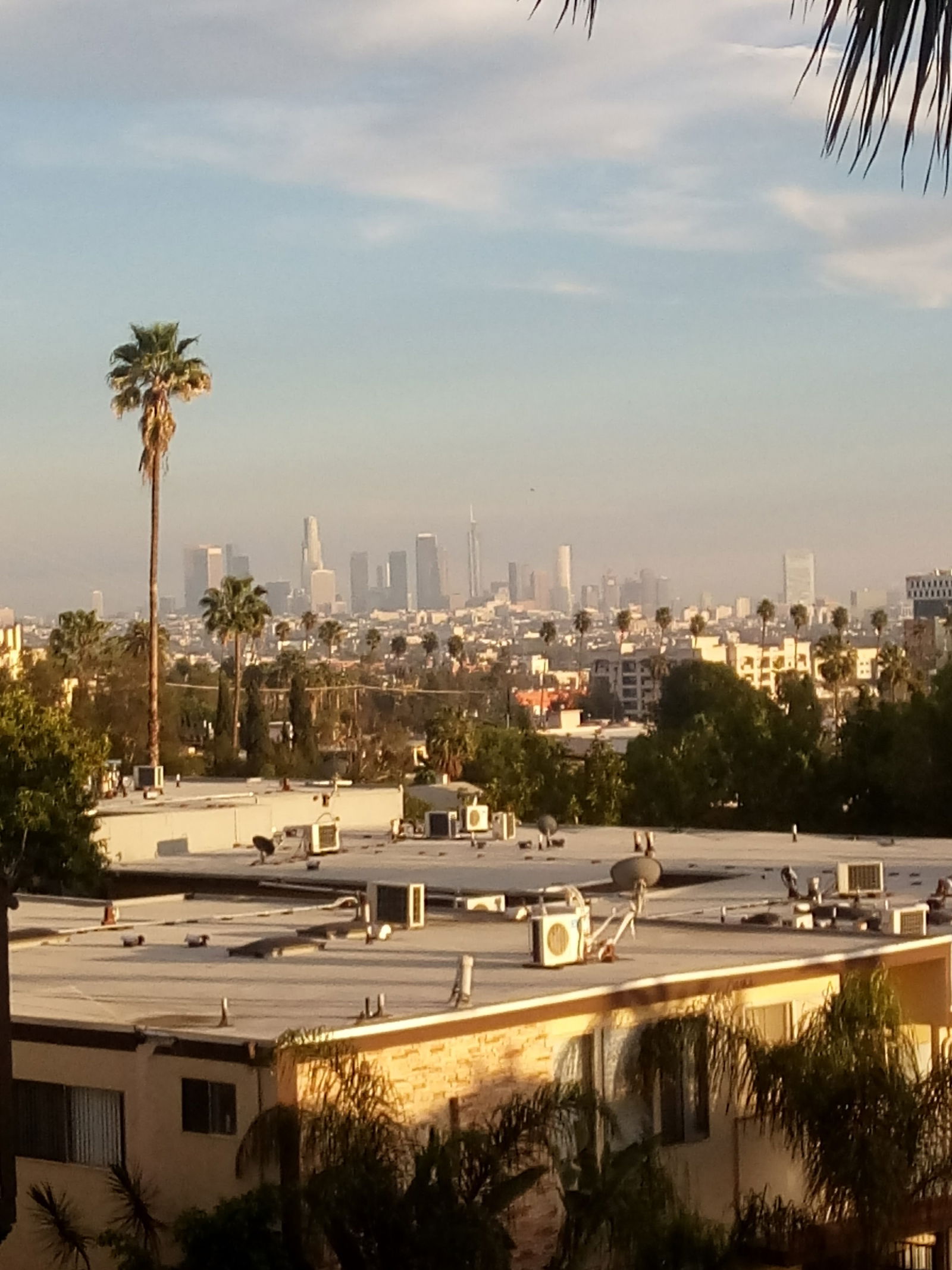 Angel Rodriguez photo