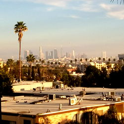 Angel Rodriguez photo