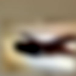 ♡ RiRi•𝔽ℝ𝔼𝔼•♡ photo