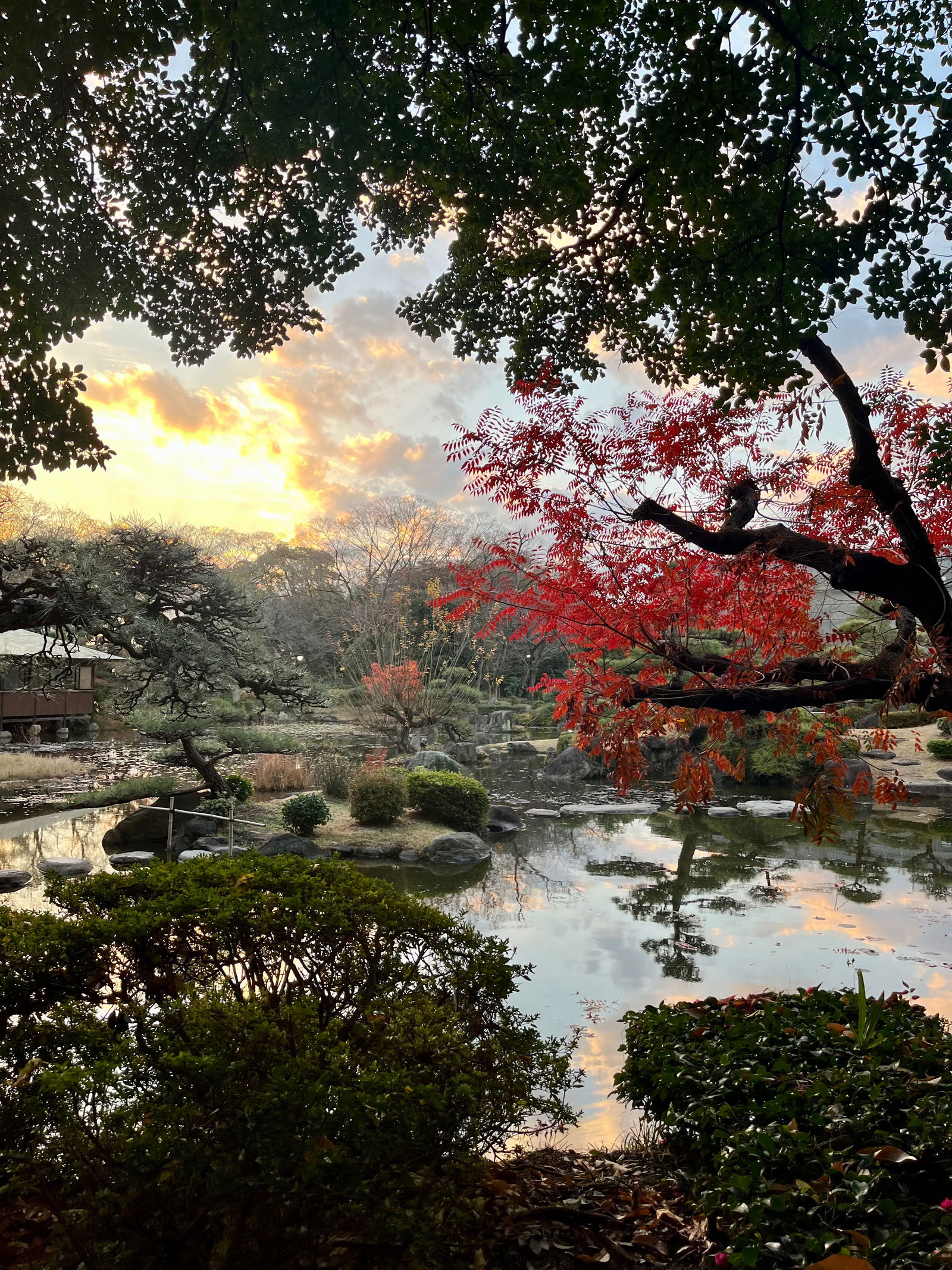 🌸 ANNA 🌸 photo