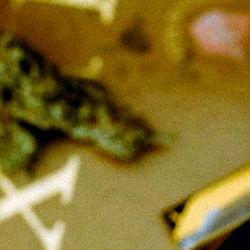 𝕵𝖆𝖛𝖎𝖊𝖗 𝕹𝖊𝖋𝖙𝖆𝖑𝖎́ photo