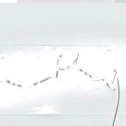 FREE VIDS ON WALL ๐คฏ photo