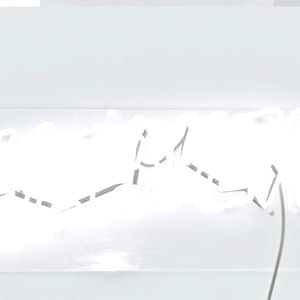 FREE VIDS ON WALL ๐คฏ photo