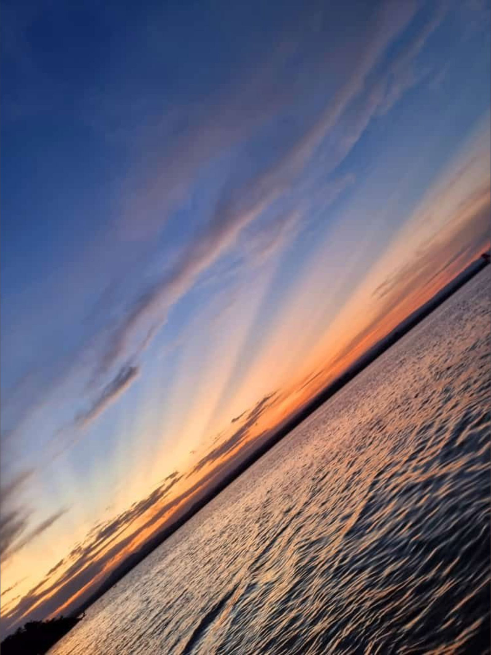 Lady Zoe - Top %10⭐ photo