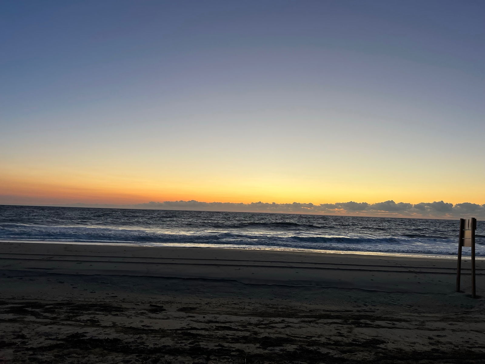 Janell Elizabeth photo