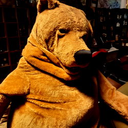 Wooden Teddy Bear Costume
