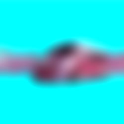 The slam van ๐ photo