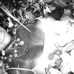 Ámbar 😼😻 photo