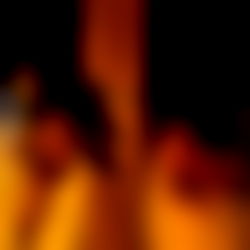 แดแดแดแดส photo