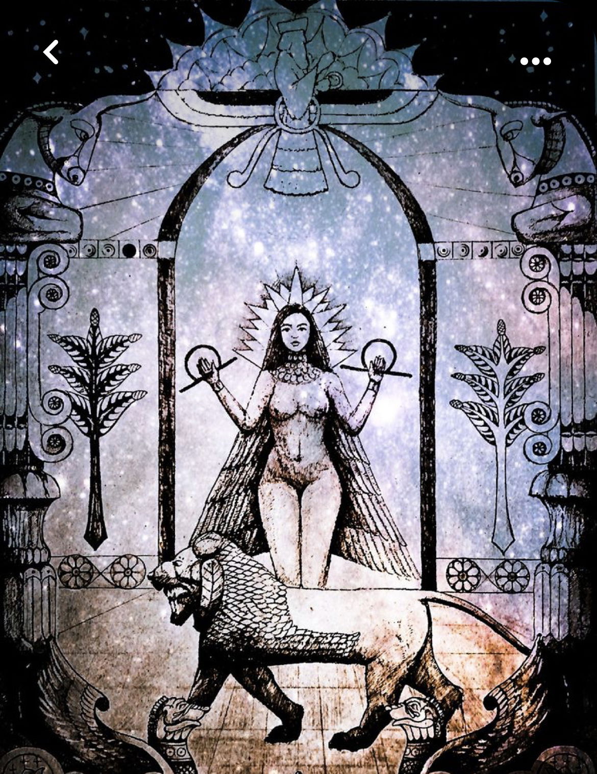 Jasmine Daville photo