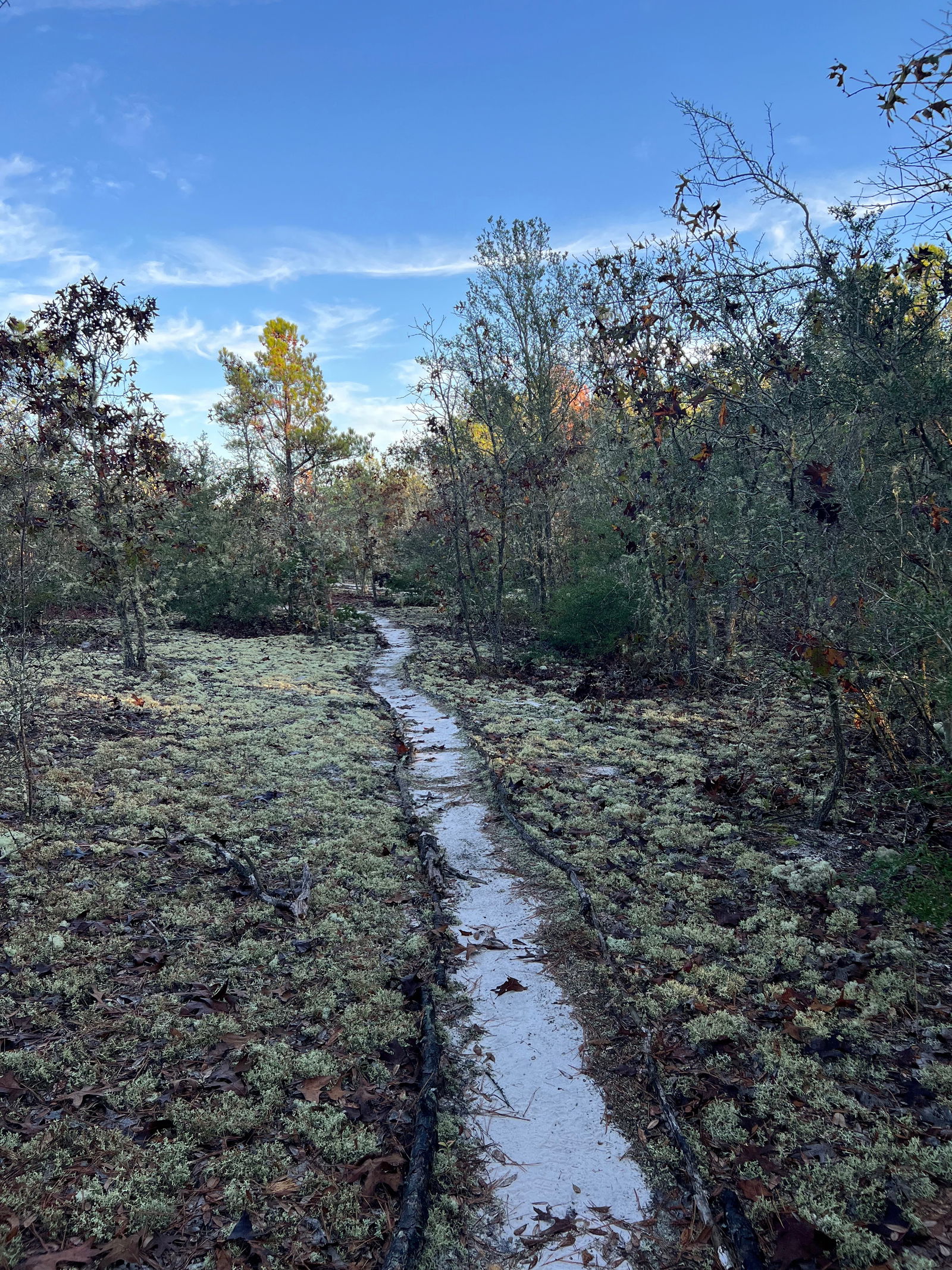 CajunThunder666 photo