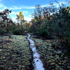 CajunThunder666 photo