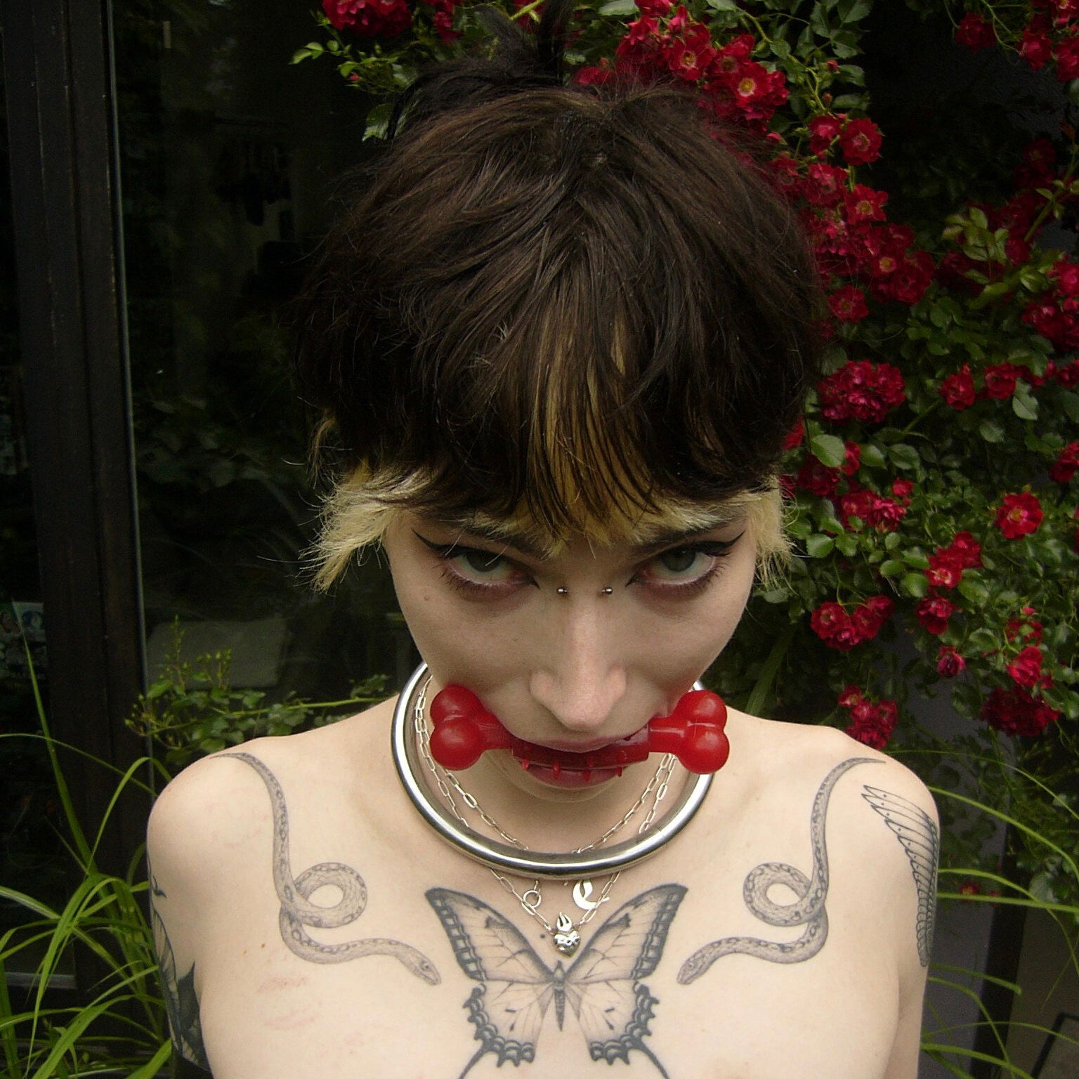 ✧𝕿𝖗𝖎𝖘𝖘✧ photo