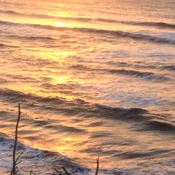 Serene Sunset by the Ocean