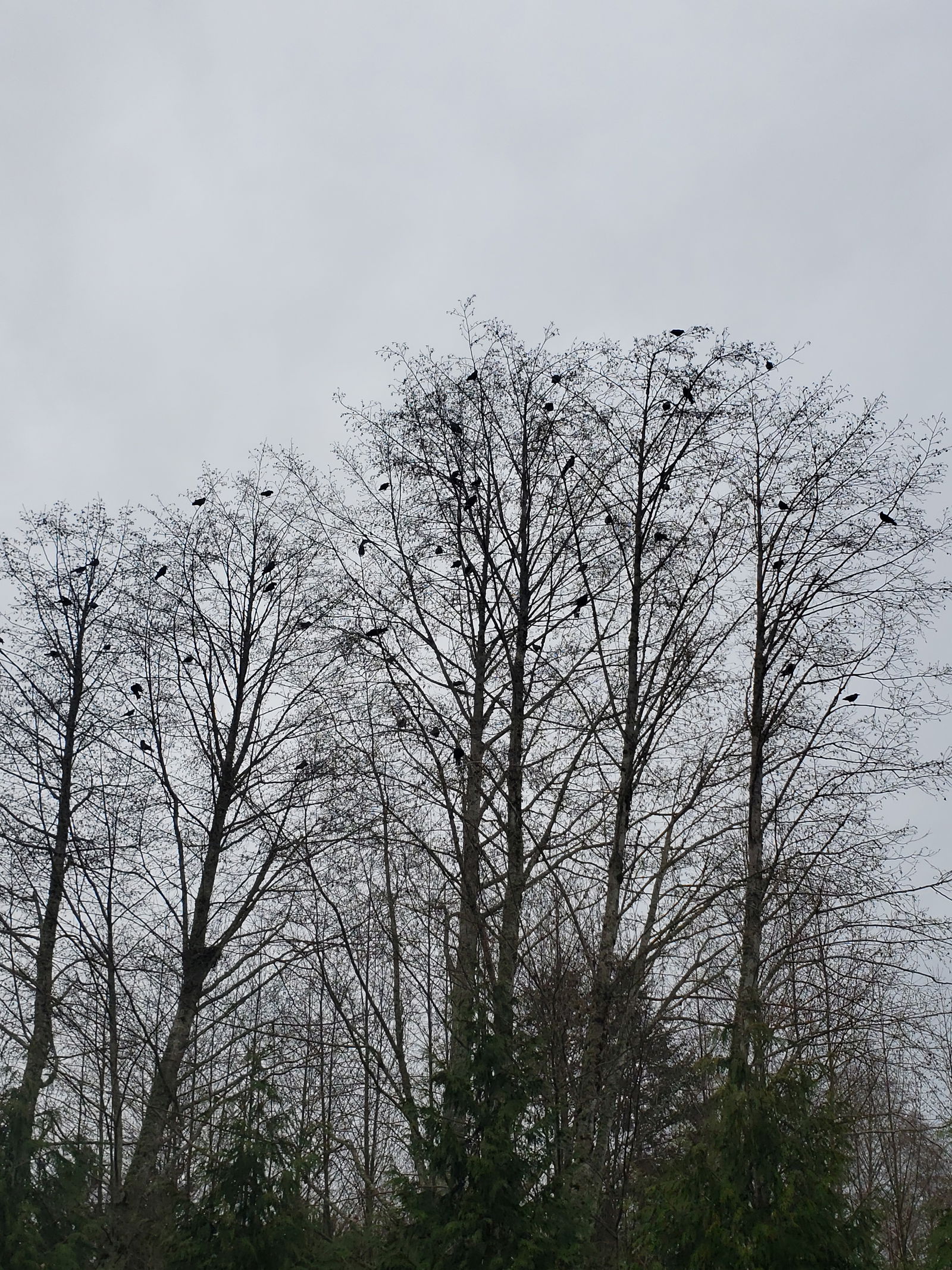 Unspoken Dreams photo