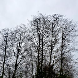 Unspoken Dreams photo