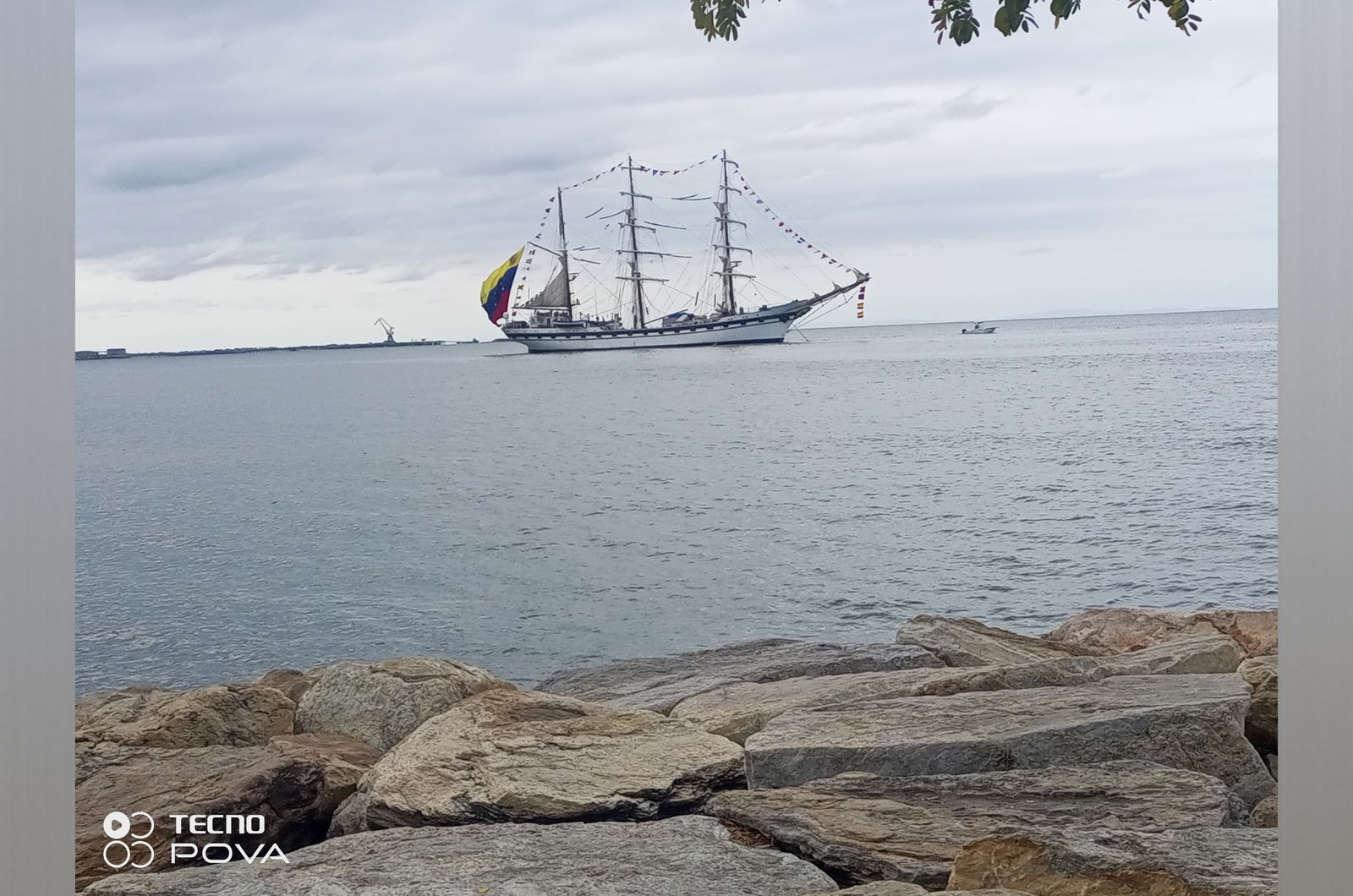 Romer Figueira photo