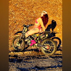 Scandalous Scene: A Bold Model in Action