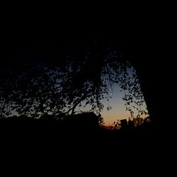 Clementine: A Serene Dusk Scene