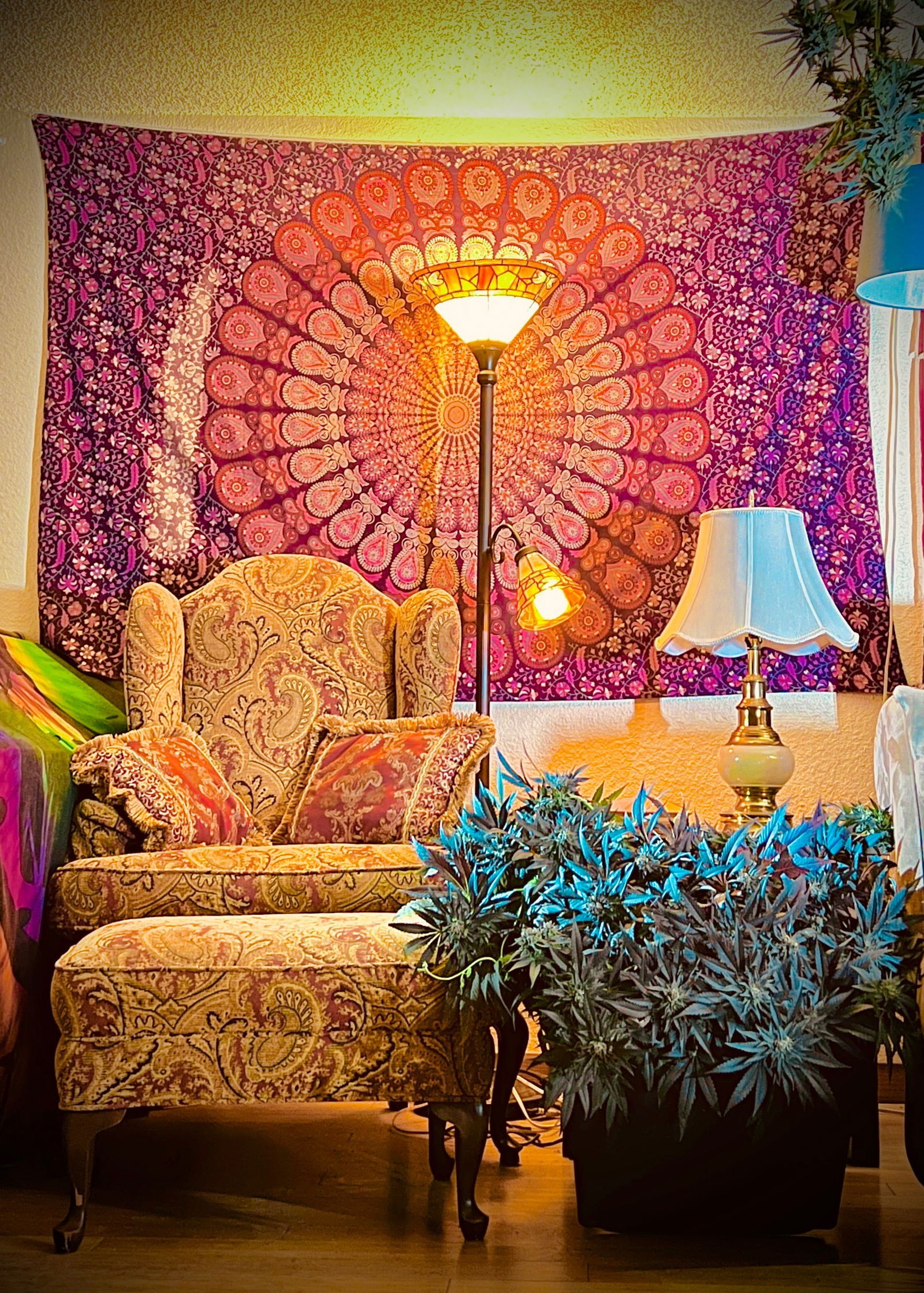 Free Sexual Spirit photo