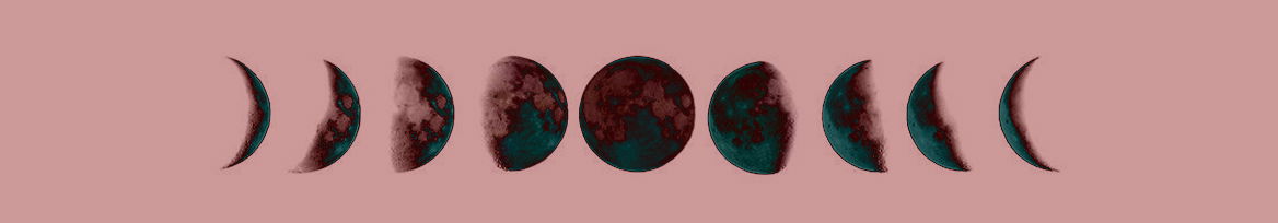 Carrie Sedgwick photo