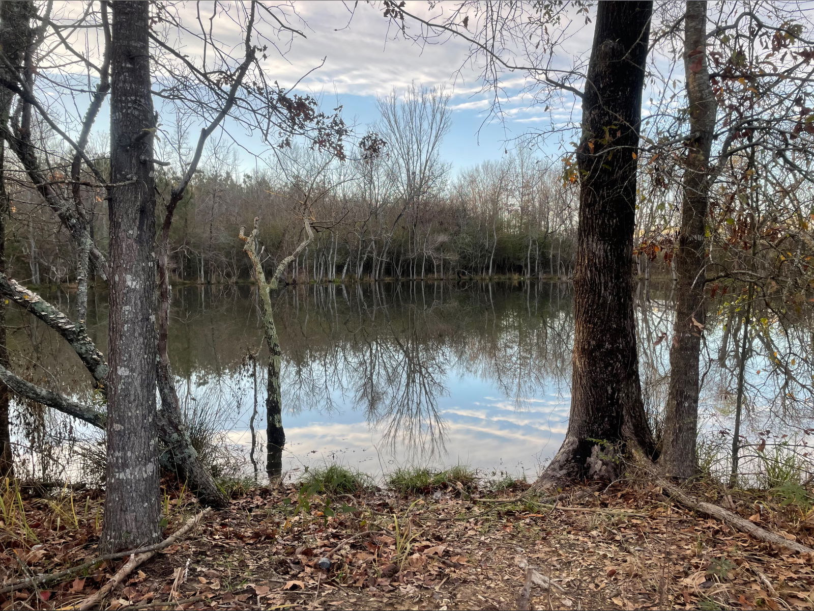 NirvanaEliteSD photo