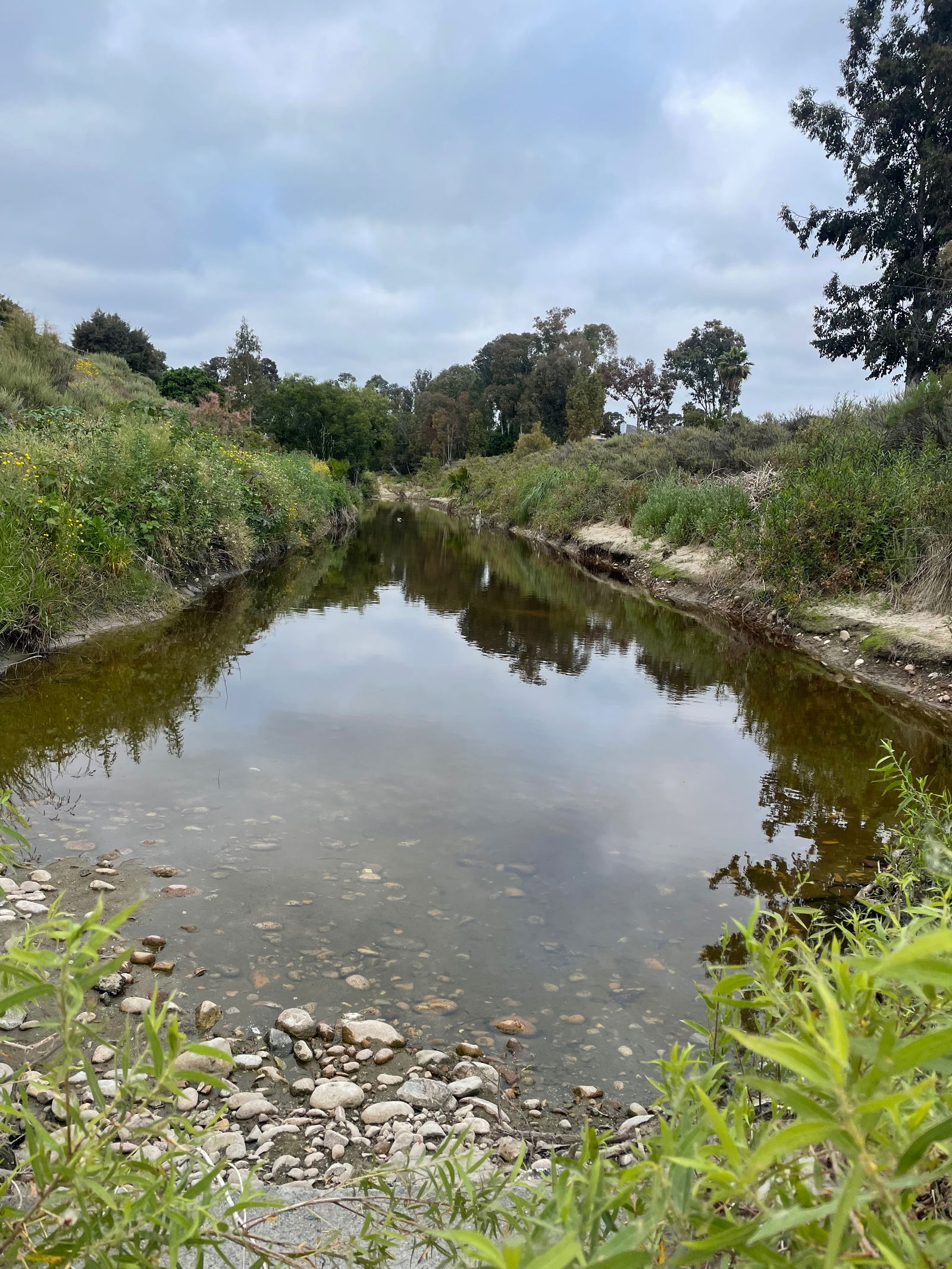 NirvanaEliteSD photo