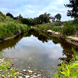 NirvanaEliteSD photo