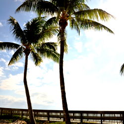 Florida Beach Vacation